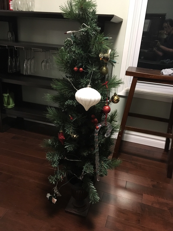 两个圣诞树包括灯和装饰 要价20$ each