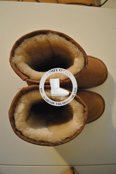 Chestnut size 6Fur.jpg